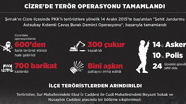Cizre'de terör operasyonu tamamlandı