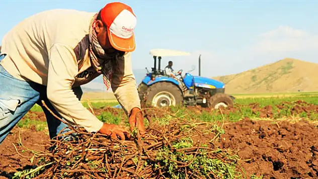 ÇKS başvuruları sona eriyor