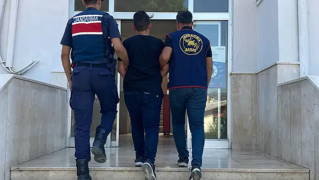Çoban, çaldığı koyunların parasıyla pavyonda eğlenirken yakalandı
