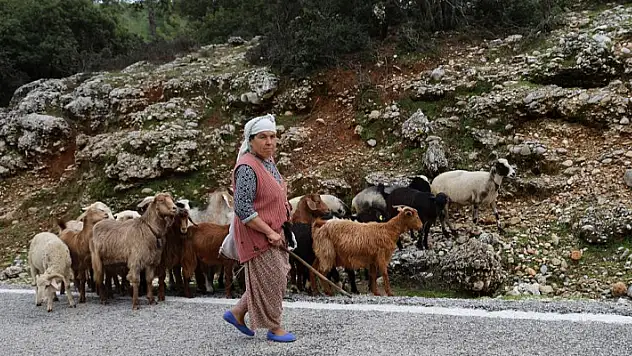 Çobanlık mesleği de unutulmaya yüz tuttu
