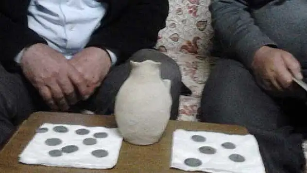 Çocuk sikke dolu testi buldu