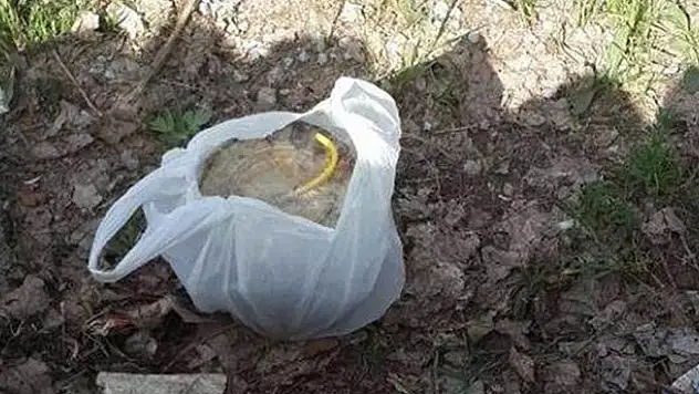 Çocukların bulduğu paketten bakın ne çıktı!