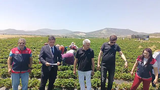 Coğrafi işaretli Hüyük çileği için çalıştay gerçekleştirildi