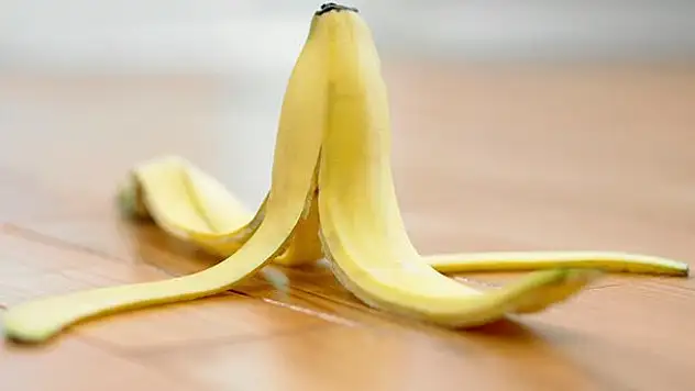 Çöp diye atıyoruz ama faydalarını bir bilseniz