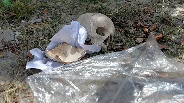Çöpte bulunan kafatasını, uzman doktorun temizlik yapan eşi atmış