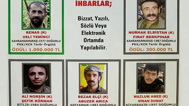 'Çözüm Süreci'ni bitiren teröristler öldürüldü