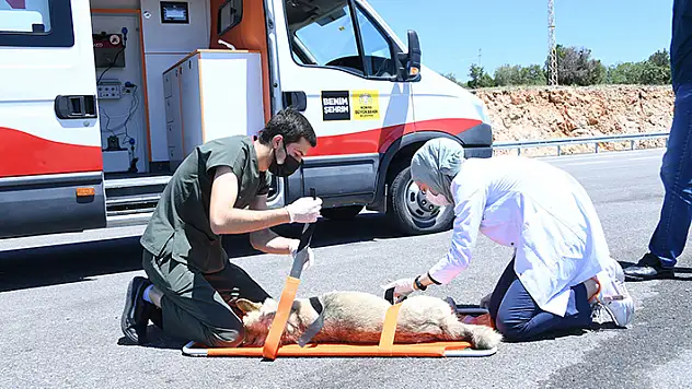 Cumhurbaşkanı Erdoğan Konya'yı örnek gösterdi
