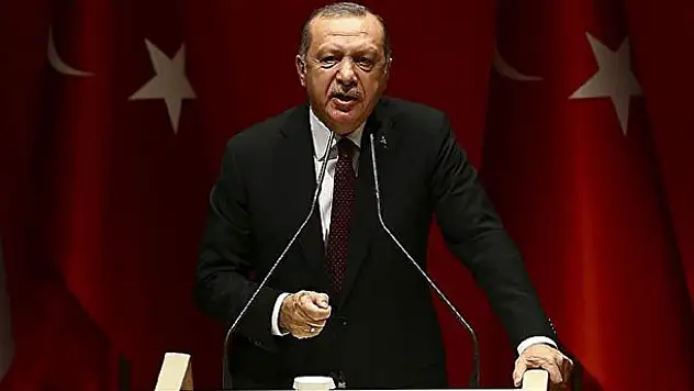 Cumhurbaşkanı Erdoğan öldürülen terörist sayısını açıkladı