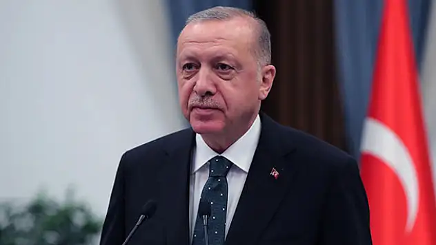 Cumhurbaşkanı Erdoğan orman yangınlarından etkilenen bölgelerde incelemelerde bulunacak