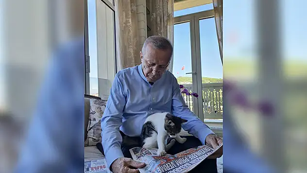 Cumhurbaşkanı Erdoğan torununun kedisiyle fotoğrafını paylaştı
