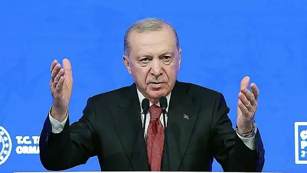 Cumhurbaşkanı Erdoğan'dan çiftçilere müjde: 'Kırsalda bereket, küçükbaşa destek' projesini devreye sokuyoruz