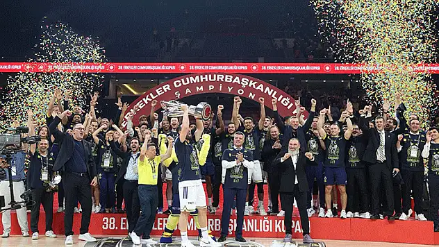 Cumhurbaşkanlığı Kupası, Fenerbahçe'nin