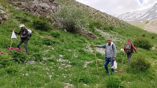 Dağlarda 20 kilometre yol kat edip mantar topluyorlar
