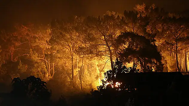 Dalaman'daki orman yangınında alevler Göcek'e ulaştı