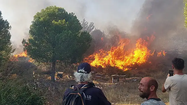 Datça'da orman yangını çıktı 