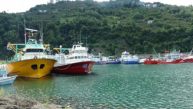 Denizlerde balık avı yasağı 1 ay sonra bitiyor
