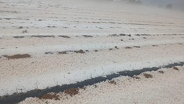 Denizli'de dolu yağışı ekili arazileri beyaz örtüyle kapladı
