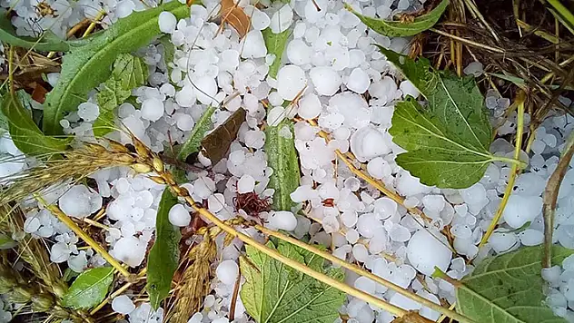 Denizli'de dolu yağışı etkili oldu
