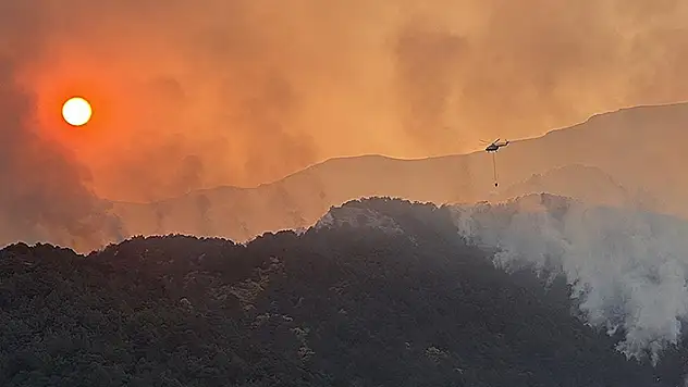 Denizli'deki orman yangınına müdahale sürüyor
