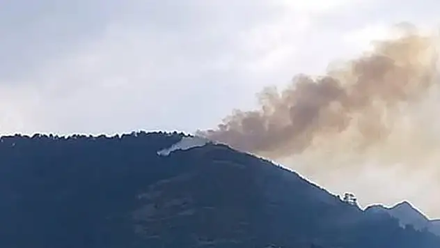 Denizli ve Hatay'da orman yangını! 