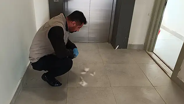 Deprem konutlarında vahşet! Yavru kedi parçalanmış halde bulundu