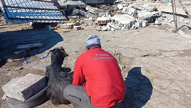 Deprem nedeniyle Tarım ve Orman Bakanlığının bazı mal ve hizmetleri ücretsiz verilecek
