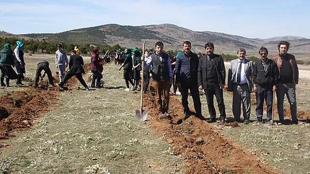 Derbent daha da yeşile bürünecek