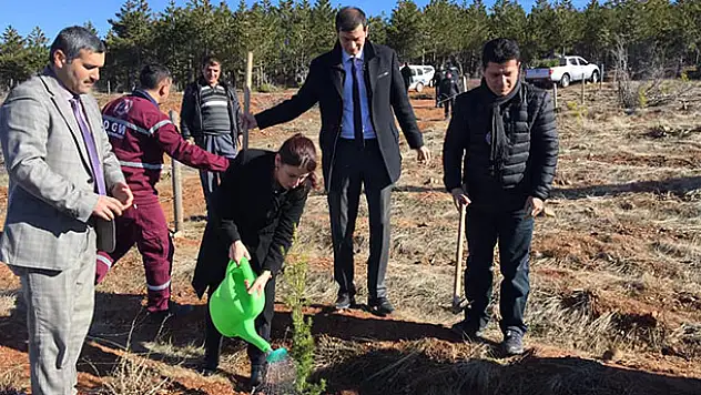 Derbent'te fidan dikme etkinliği