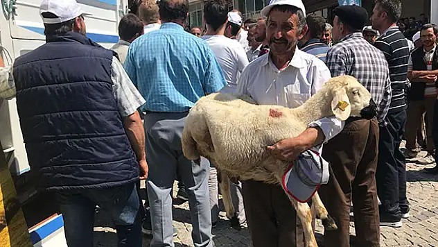 Derbent'te küçükbaş hayvan desteği