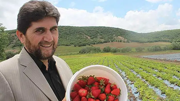 Derbent'te Organik Çilek Çiftçinin yüzünü güldürdü