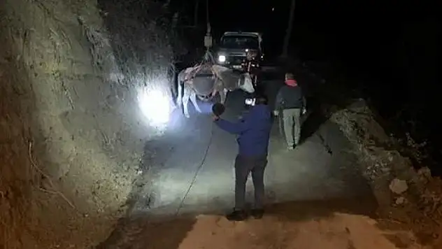 Dere yatağına düşen inek vinçle kurtarıldı

