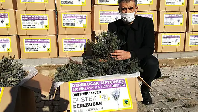 Derebucak'ta 100 bin lavanta fidesi daha toprakla buluşturuldu