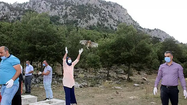 Derebucak'ta 500 sülün doğaya bırakıldı