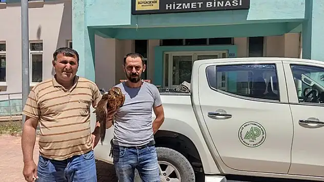 Derebucak'ta bulunan yaralı kızıl şahin tedavi ediliyor
