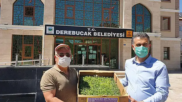 Derebucak, tıbbi aromatik üretiminde Konya'nın lideri olmayı istiyor