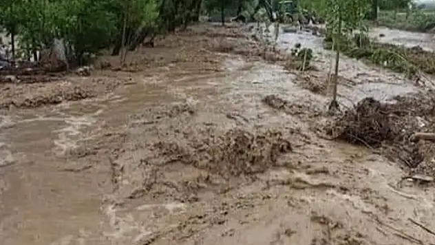 Dereler taştı, tarım arazileri sular altında kaldı
