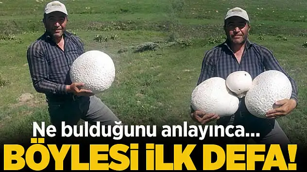 Dev mantarlar şaşırttı