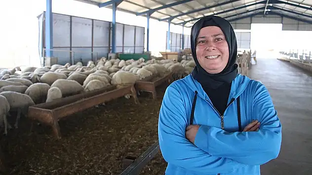 Devlet desteğiyle çiftlik kuran kadın, koyun sayısını 150'den 350'ye çıkardı
