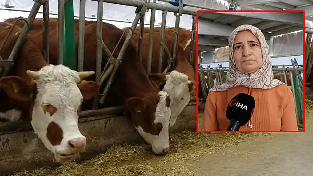 Devlet desteğiyle kurduğu tesiste günlük 700 litre süt üretiyor
