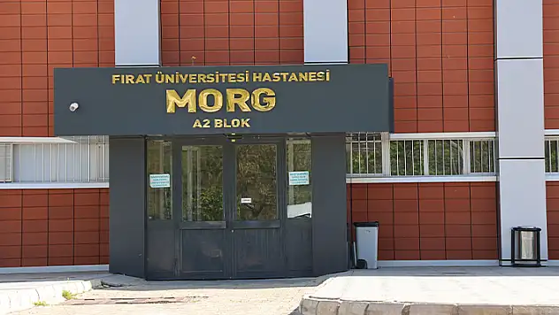 Devrilen traktörün altında kalarak hayatını kaybetti
