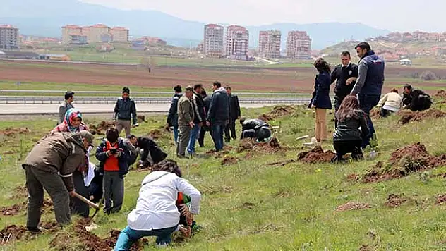 Diyaliz hastaları için bin çam fidanı dikildi