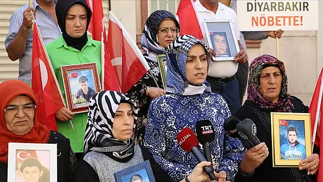 Diyarbakır annelerinden destek çağrısı
