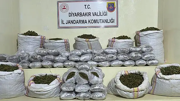 Diyarbakır'da 2 milyon 669 bin kök kenevir ile 203 kilo esrar ele geçirildi
