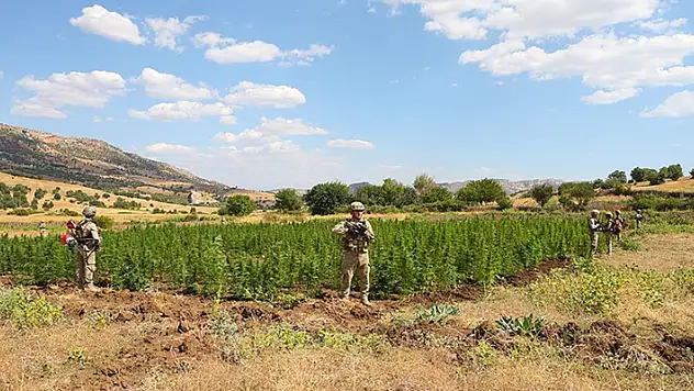 Diyarbakır'da 2 ton 121 kilogram esrar, 13 milyon 514 bin 550 kök kenevir bitkisi ele geçirildi
