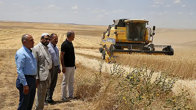 Diyarbakır'da 9 kişinin ölümüne neden olan tarlada hasat, barış heyeti gözetiminde başladı
