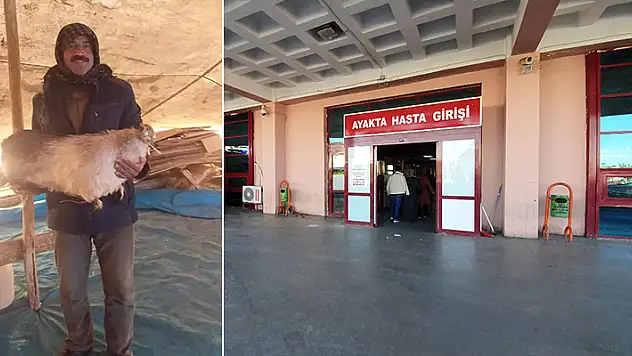Diyarbakır'da çobana yıldırım isabet etti ağır yaralı

