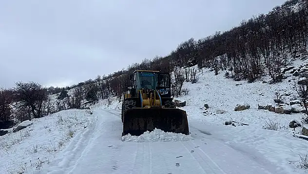 Diyarbakır'da kardan kapanan 22 mahalle yolu ulaşıma açıldı

