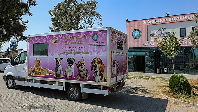 Diyarbakır'da sokak hayvanları için mobil kısırlaştırma aracı hizmete alındı
