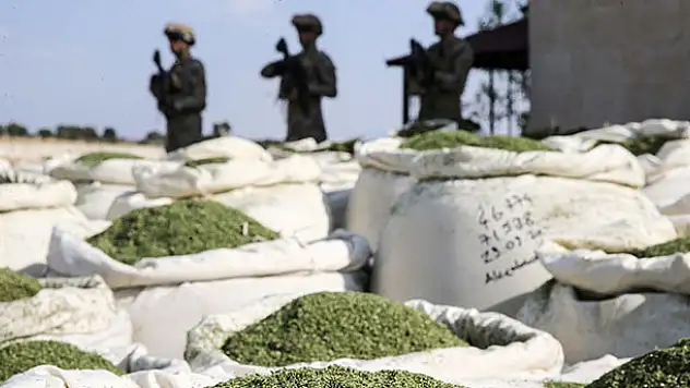 Diyarbakır'ın Lice ilçesi kırsalında 1 ton 16 kilogram esrar ele geçirildi
