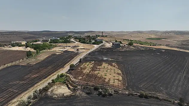 Diyarbakır-Mardin sınırındaki yangında itfaiye raporu: Çıkış nedeni elektrik tellerinden düşen kıvılcımlar
